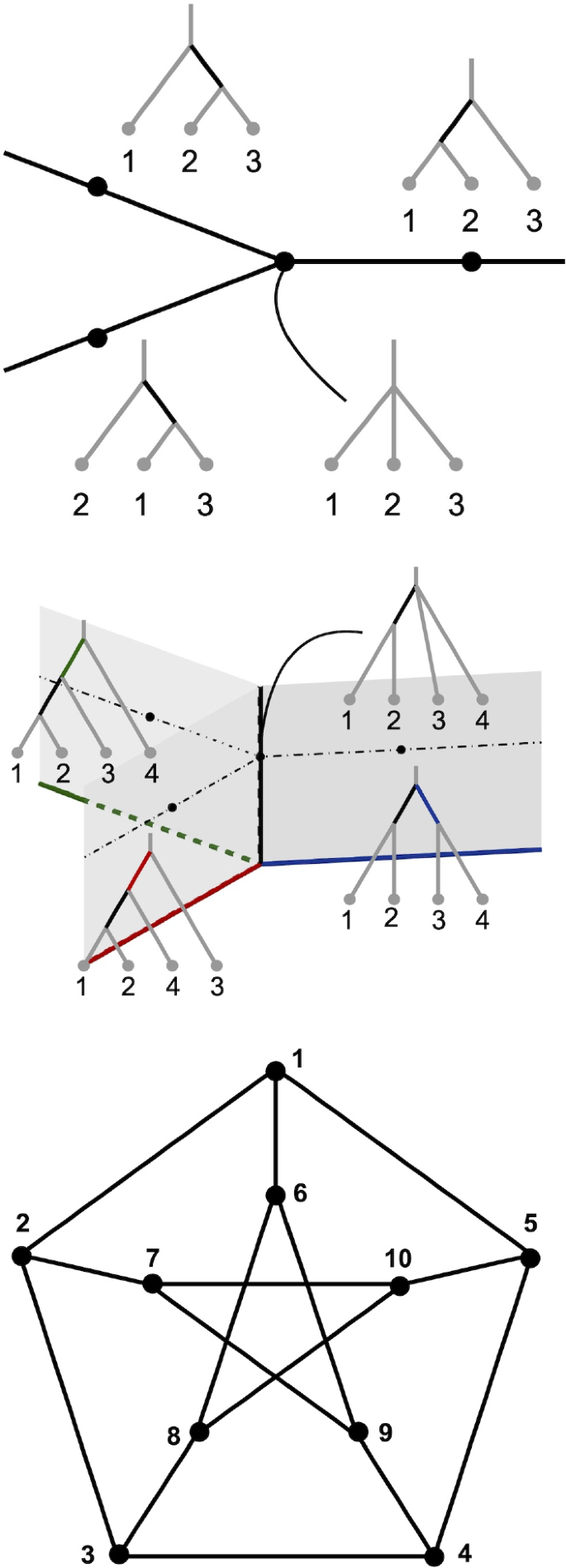 Maximum likelihood estimation of log-concave densities on tree space