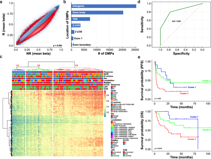 DNA Methylation Signatures Correlate with Response to Immune Checkpoint Inhibitors in Metastatic Melanoma.