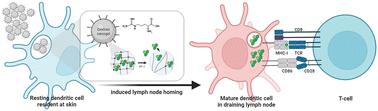Self-adjuvanted l-arginine-modified dextran-based nanogels for sustained local antigenic protein delivery to antigen-presenting cells and enhanced cellular and humoral immune responses†