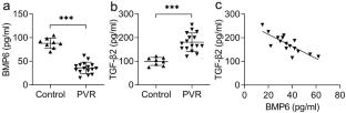 Bone morphogenetic protein 6 (BMP6) antagonises experimental proliferative vitreoretinopathy established by TGF-β2 stimulation in retinal pigment epithelial cells through modulation of the p38 and JNK MAPK pathways