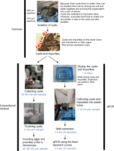 Efficient quantification of Globodera pallida and G. rostochiensis (Tylenchida: Heteroderidae) in large amounts of soil using probe-based real-time PCR