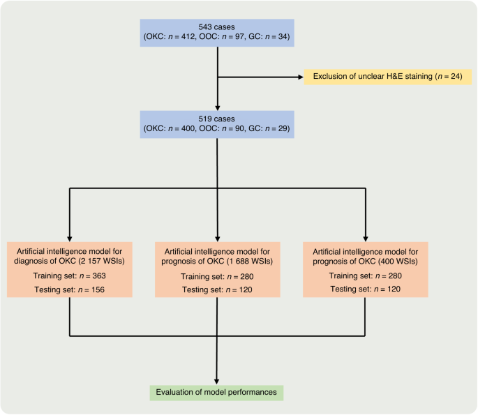 Digital pathology-based artificial intelligence models for differential diagnosis and prognosis of sporadic odontogenic keratocysts