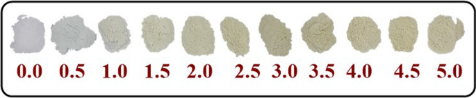 Aluminum enhances the oxidative damage of ZnO NMs in the human neuroblastoma SH-SY5Y cell line