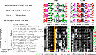 KNL1 and NDC80 represent new universal markers for the detection of functional centromeres in plants