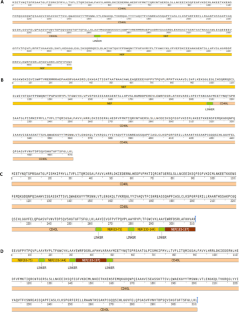 In silico designing of novel epitope-based peptide vaccines against HIV-1