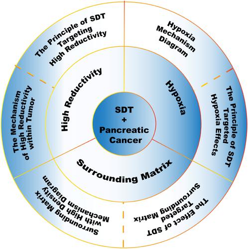 Recent advances in sonodynamic therapy strategies for pancreatic cancer.