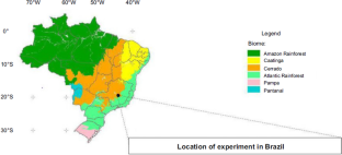 Soil organic carbon stock and litter mass in silvopastoral systems with Eucalyptus