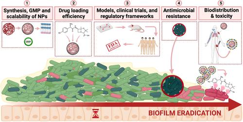 Nanomedicine against biofilm infections: A roadmap of challenges and limitations.