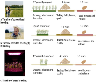 A comprehensive review on speed breeding methods and applications