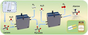 Beyond biodegradation: upcycling of polylactic acid plastic waste into amino acids via cascade catalysis under mild conditions†