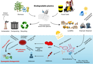 Biodegradable microplastics interaction with pollutants and their potential toxicity for aquatic biota: a review