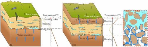 Study on thermal-hydro-mechanical coupling and stability evolution of loess slope during freeze–thaw process