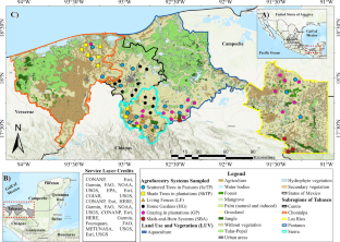 Plant species richness in agroforestry systems correlates to soil fertility in the humid tropic of Mexico