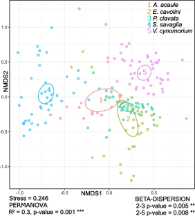 The microbiomes of five temperate soft corals declining in the Sea of Marmara