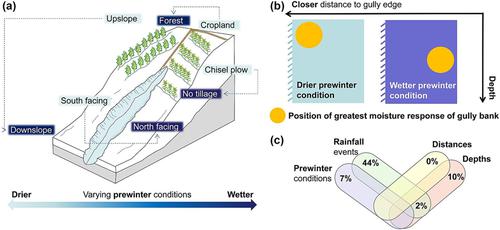 Response of soil moisture to prewinter conditions and rainfall events at different distances to gully banks in the Mollisol region of China