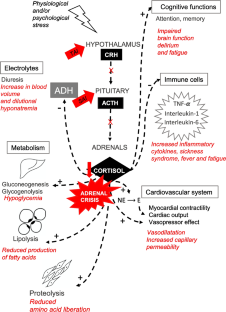 Diagnosis and management of secondary adrenal crisis.