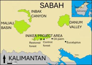 Forest Restoration and the Zoonotic Vector Anopheles balabacensis in Sabah, Malaysia.