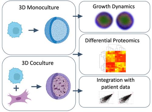 Gas-Phase Fractionation Data-Independent Acquisition Analysis of 3D Cocultured Spheroid Tumor Model Reveals Altered Translational Processes and Signaling Using Proteomics.