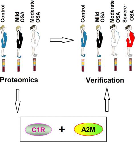 Tandem Mass Tag-Labeled Quantitative Proteome Analyses Identify C1R and A2M as Novel Serum Biomarkers in Pregnant Women with Obstructive Sleep Apnea