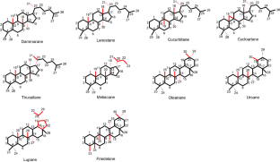 Review of natural plant-derived seco-triterpenoids and derived saponins from 2020 to 2023: new compounds, distributions, diverse activities and structure–activity relationships