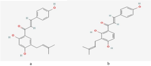 Therapeutic properties and enzyme inhibition potentials of some natural compounds on hyaluronidase, collagenase, and elastase with molecular docking studies