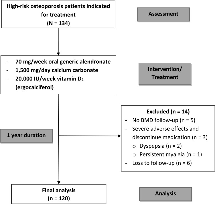Efficacy and Safety of Generic Alendronate for Osteoporosis Treatment.