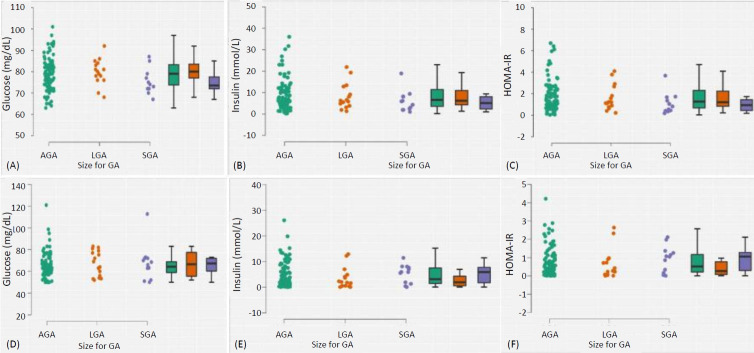 Association of maternal insulin resistance with neonatal insulin resistance and body composition/size: a prospective cohort study in a sub-Saharan African population.