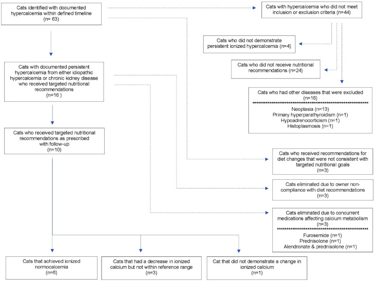 Ionized hypercalcemia can resolve with nutritional modification in cats with idiopathic hypercalcemia or chronic kidney disease.