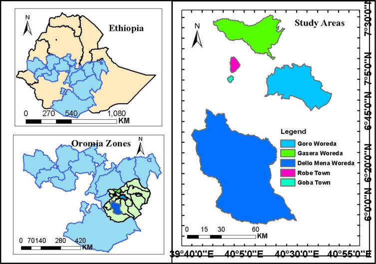 The Burden and Risk Factors of <i>Helicobacter Pylori</i> Infection Among Government Employees Who Clinically Complain of Indigestion but Allergic Diseases in Southeastern Ethiopia: A Multi-Institution Cross-Sectional Study.
