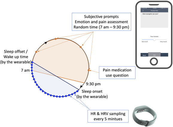 Night time heart rate predicts next-day pain in fibromyalgia and primary back pain.