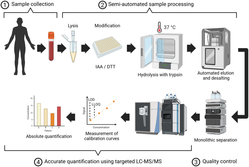 Highly sensitive therapeutic drug monitoring of infliximab in serum by targeted mass spectrometry in comparison to ELISA data.