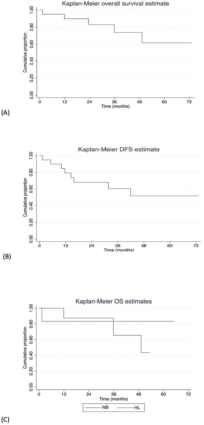 Autologous hematopoietic stem cell transplant at a tertiary care centre in India: achieving comparable outcomes with adaptations.