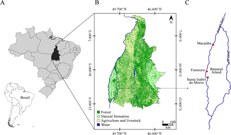 The perception of fungi among Karajá indigenous children and adolescents from Brazil.