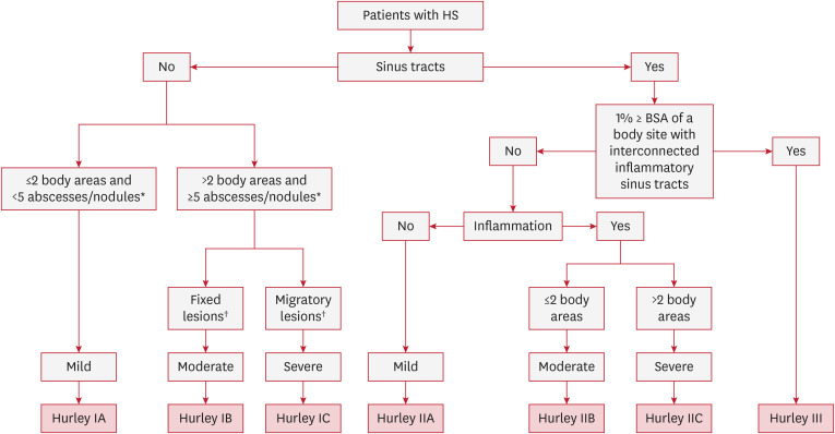 Review of Scoring Systems for Hidradenitis Suppurativa.