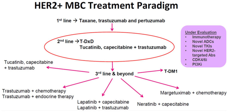 Standard-of-Care Treatment for HER2+ Metastatic Breast Cancer and Emerging Therapeutic Options.