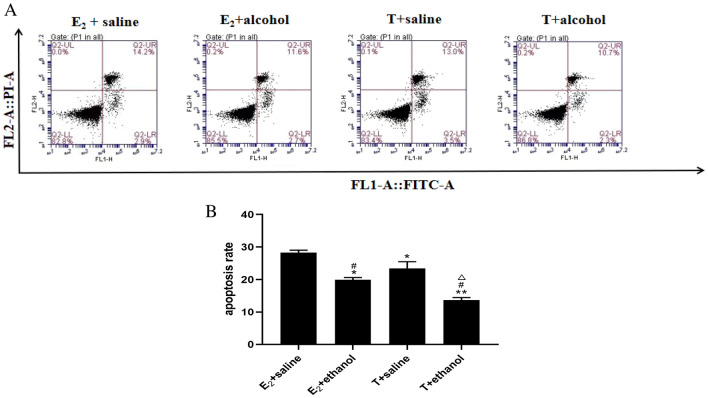 Mechanisms of the TGF-β1/Smad3-signaling pathway in gender differences in alcoholic liver fibrosis.