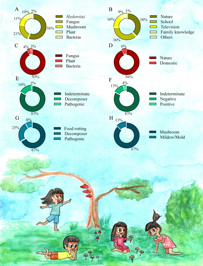 The perception of fungi among Karajá indigenous children and adolescents from Brazil.