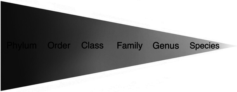 Abstract Image