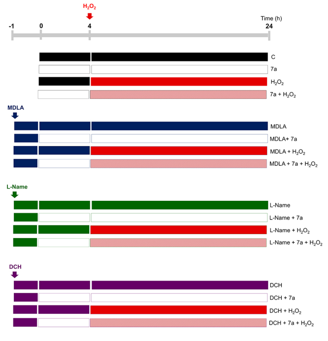 Activation of M1 muscarinic acetylcholine receptors by proline-rich oligopeptide 7a (<EDGPIPP) from <i>Bothrops jararaca</i> snake venom rescues oxidative stress-induced neurotoxicity in PC12 cells.
