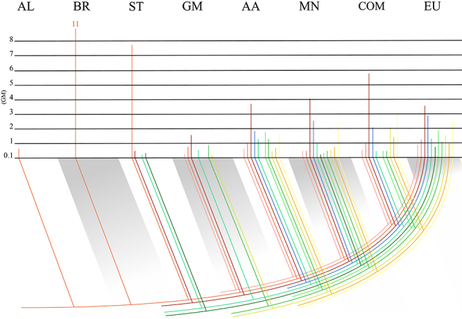 DOF gene family expansion and diversification.