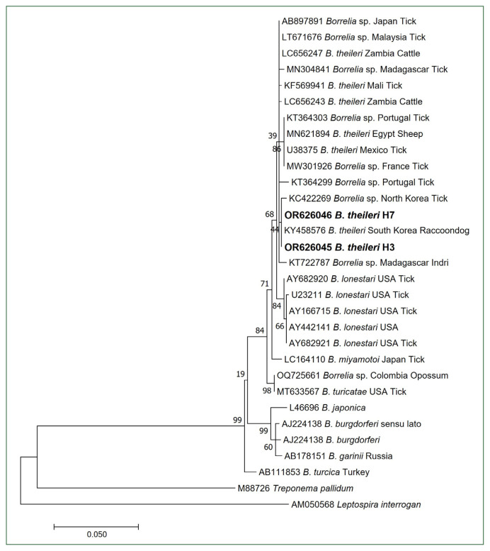 Molecular detection of Borrelia theileri in cattle in Korea.