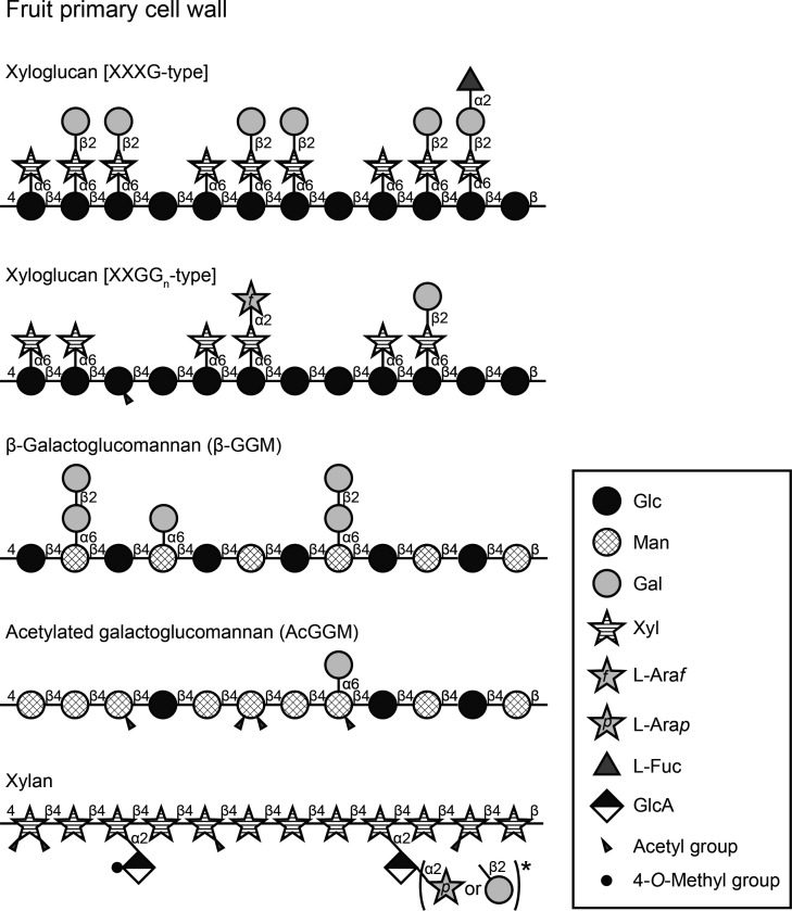 Structure, Modification Pattern, and Conformation of Hemicellulose in Plant Biomass.