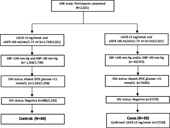 Proteomic insights into the pathophysiology of hypertension-associated albuminuria: Pilot study in a South African cohort.