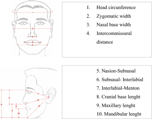 Effects of endocrine disorders on maxillary and mandibular growth in Colombian children and adolescents: a cross-sectional study.