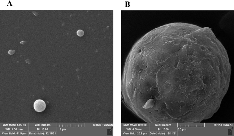 The effects of chitosan-loaded JQ1 nanoparticles on OVCAR-3 cell cycle and apoptosis-related gene expression.