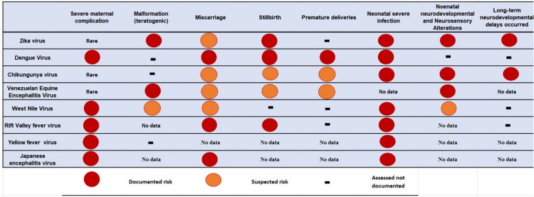 Arboviruses and pregnancy: are the threats visible or hidden?
