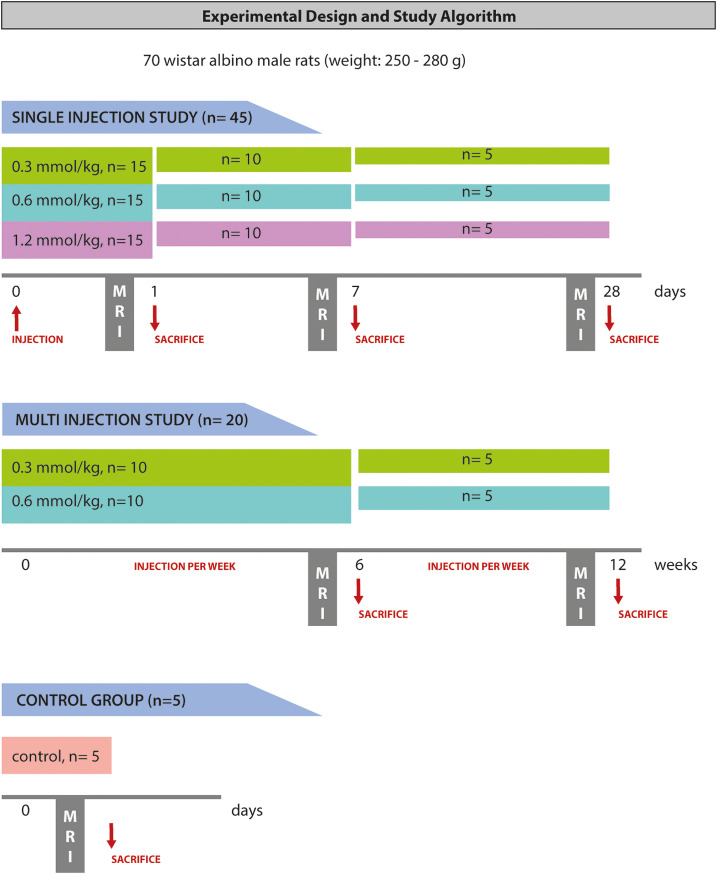 Temporal Assessment of Gadolinium Deposition and T1 Signal Intensity Changes in Rat Kidney with Single and Multiple Doses of Injection: An Experimental Study.