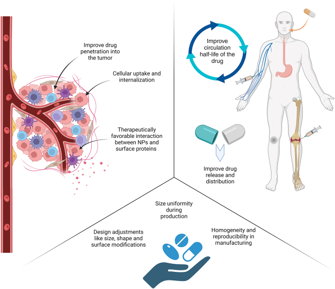 Nanotechnology-based delivery systems to overcome drug resistance in cancer.