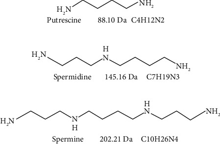Mass Spectrometry of Putrescine, Spermidine, and Spermine Covalently Attached to <i>Francisella tularensis</i> Universal Stress Protein and Bovine Albumin.
