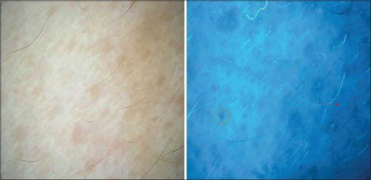 Abstract Image